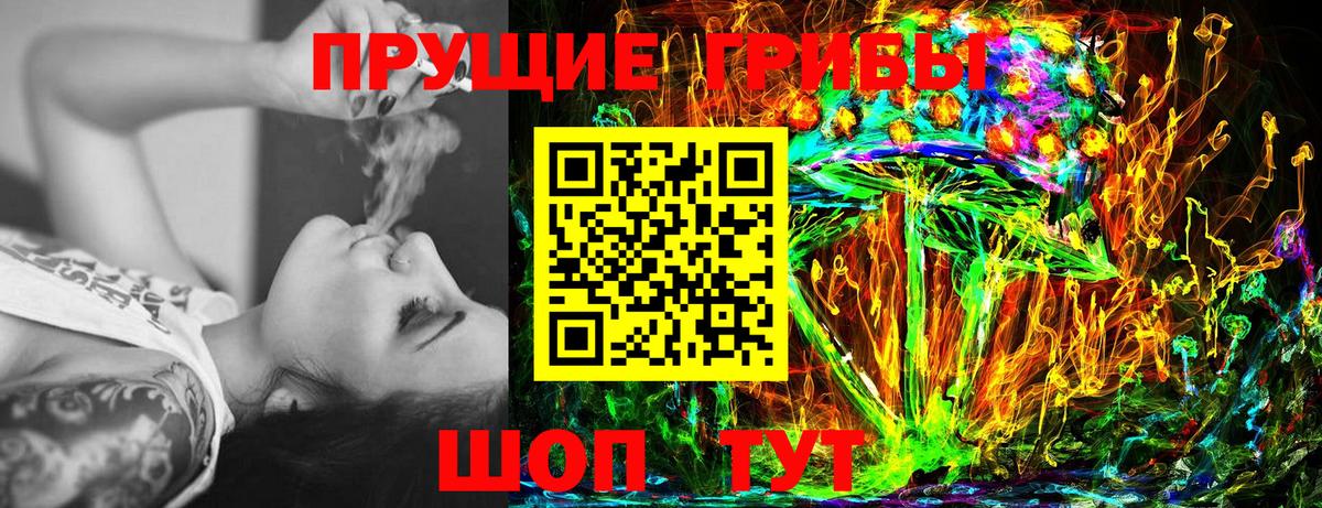Кимры  Галлюциногенные грибы GOLDEN TEACHER  Галлюциногенные грибы MAGIC MUSHROOMS  Вход с VPN 